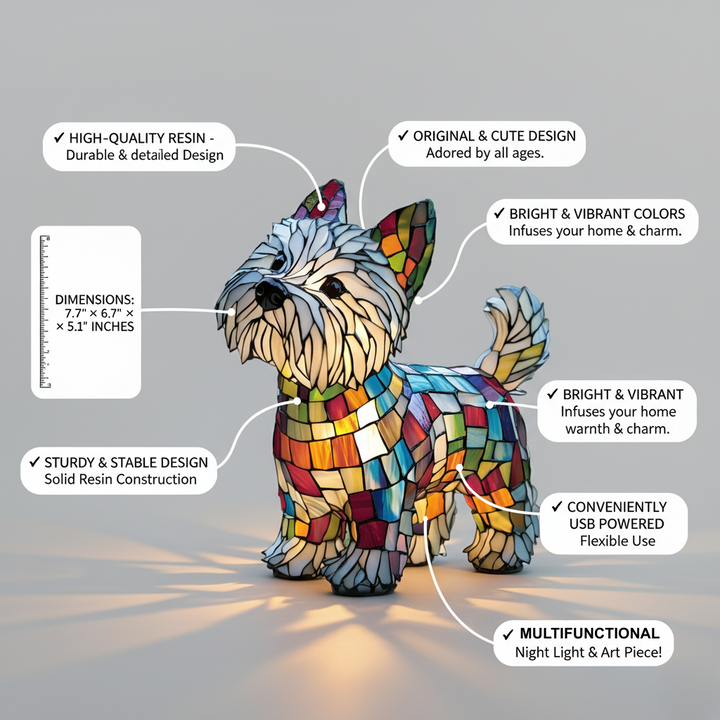 Moomie: Jouw Perfecte Metgezel